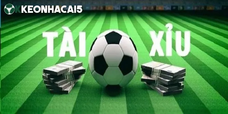 Kèo tài xỉu - Chiến thuật bắt kèo hiệu quả và chuẩn nhất